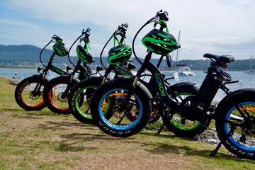Electric bike hire 1hour
