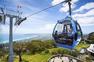 Arthurs Seat Eagle Gondola Ticket