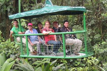 Aerial Tram Tour of Braulio Carrillo National Park