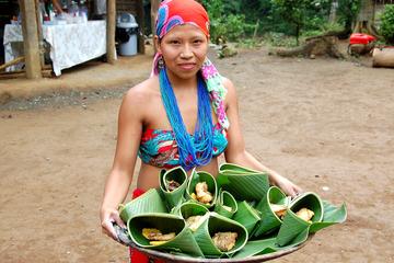 Authentic Embera Indian Village Tour
