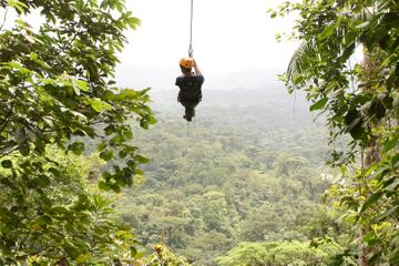 Canopy Zipline Eco-Adventure Tour from San Jose