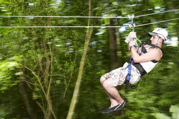 Jamaica Sky Explorer and Optional Zipline Tour