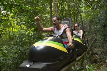 Mystic Mountain Bobsled Tour and Dunns River Falls from Falmouth