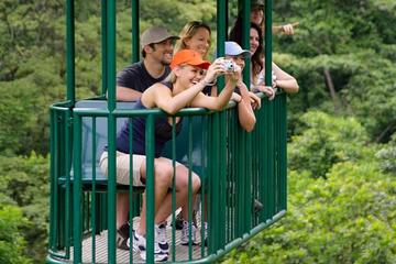 Rainforest Adventure Costa Rica Tranopy Tour Jaco