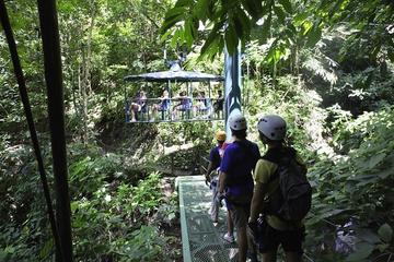Rainforest Adventures 5 in 1 Adrenaline Extreme