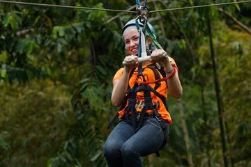 Rainforest Adventures Adrenaline Tour Pick From Pier