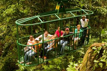 Rainforest Adventures Aerial Tram Tour