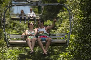 Rainforest Adventures Jamaica Mystic Mountain Sky Explorer Tour