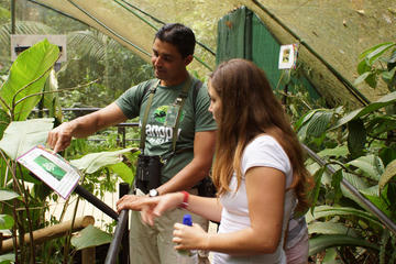 Rainforest Adventures Nature Exploration Tour