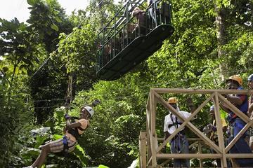 Rainforest Adventures Ultimate 3 Tour With Transfers From Pier