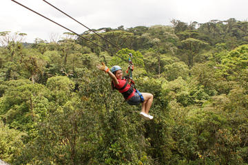 Soualiga Sky Explorer, Sentry Hill Zip Line Adventure with Transfers From Pier