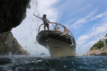 Sorrento Coast and Capri boat tour from Positano