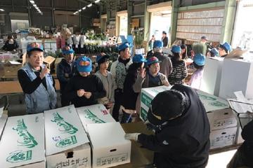 An Exceptionally Rare Experience!  The Flower Auction