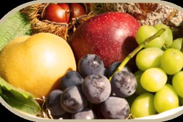 Choudo-gari- Picking Fruits of the Season