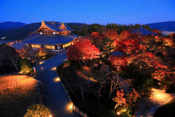 Kyoto Gion Night Tour