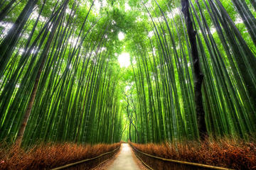 Mystery Tour Meeting 1000 Jizo in Arashiyama