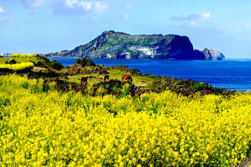 All-Inclusive Small Group Full Day Tour of Jeju Island
