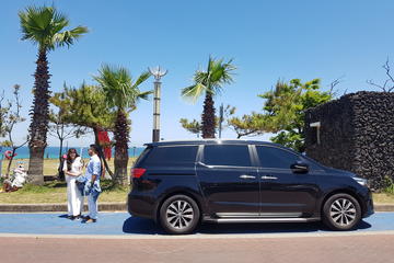 Custom Private Group Tour of Jeju Island