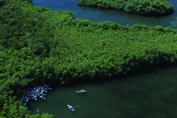 Cas Cay - Kayak Hike and Snorkel Adventure
