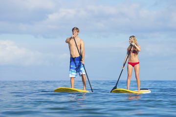 Stand Up Paddling Mangrove Lagoon Tour