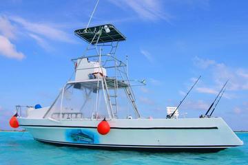 Deep Sea Fishing Tour and Beach from Cozumel