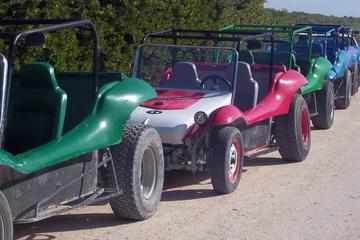Dune Buggy Tour and Snorkeling at Punta Sur Including Lunch