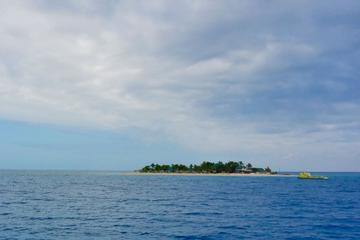 Half-Day Finding Nemo Cruise to South Sea Island