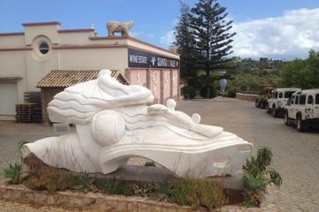 Algarve Art and Wine Tour from Albufeira