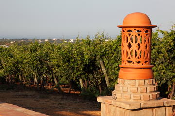 Algarve Flavours & Traditions