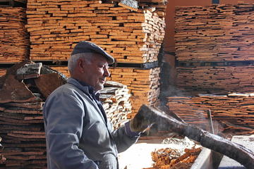 Cork and Olive Oil Tour from Faro