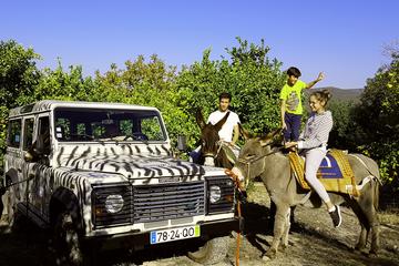 DONKEY FARM EXPERIENCE 4X4