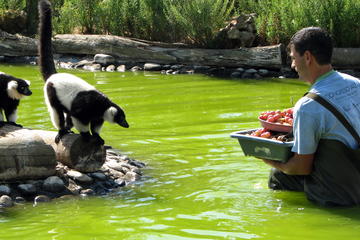 LET'S ALL GO TO THE ZOO - Family day out