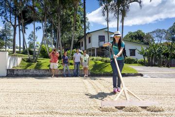 Made In San Jose Adventurous Shopping Tour: Waterfalls, Coffee, Colonial Towns