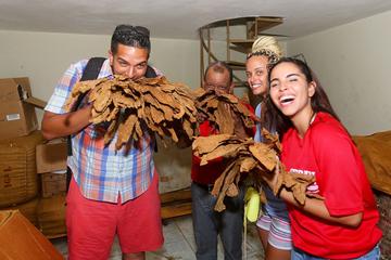 Made in Santo Domingo Shopping Tour - Rum, Cigars, Chocolate and Art