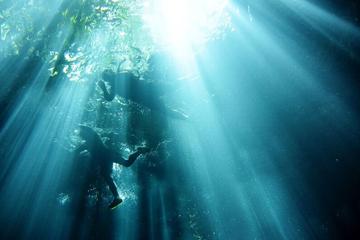 Small Group Subterranean Snorkel Adventure Tour