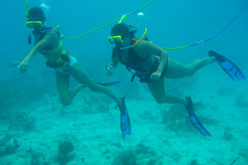 St Thomas Shore Excursion: Snuba Adventure at Coral World Ocean Park
