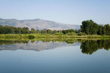 Golan Heights Day Trip from Tel Aviv