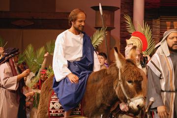 Palm Sunday in Jerusalem: Mass at Bethpage and Via Dolorosa Procession with Transport from Tel Aviv