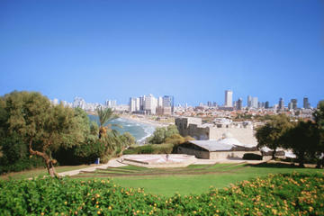 Private Tour: Old Port of Jaffa, Tel Aviv City and Nalagaat Center