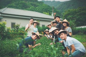 Private Tea Village and Taipei Sightseeing Day Tour