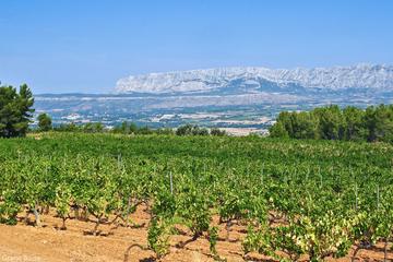 Day Tour Aix en Provence & Wine in Côtes de Provence Sainte-Victoire