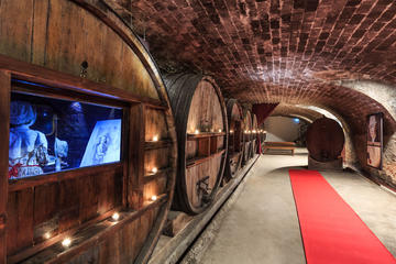 Full-day Wine Tour in Côtes de Provence from Nice
