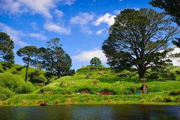 Waitomo Caves and The Lord of the Rings Hobbiton Movie Set Tour from Auckland with Private Transport
