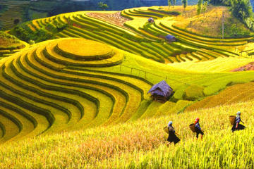 Explore Hanoi Halong Sapa 5 days package