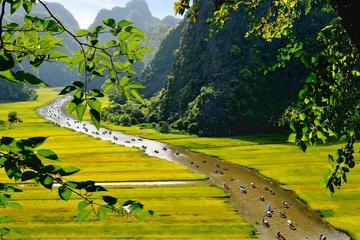 Full-day Hoa Lu and Tam Coc tour with sampan boat trip and bicycle ride