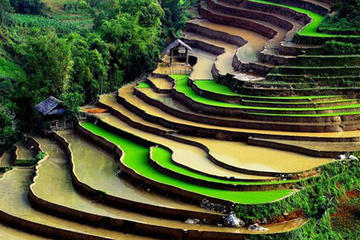 Sapa Hard Trekking by Bus for 2 days