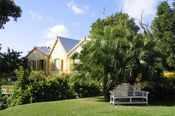 St Kitts Island Tour