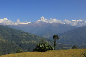 Annapurna Panorama trek