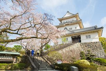Historical Castle & Shinto Shrine Tour