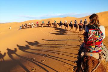 Magical Night under the Stars in the Sahara Desert